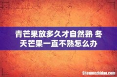 青芒果放多久才自然熟 冬天芒果一直不熟怎么办