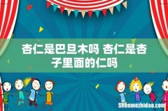 杏仁是巴旦木吗 杏仁是杏子里面的仁吗