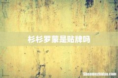杉杉罗蒙是贴牌吗