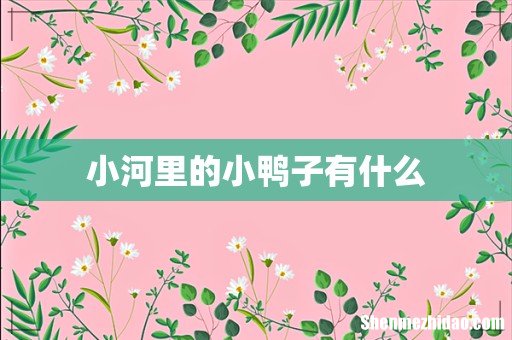小河里的小鸭子有什么