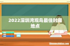 2022深圳湾观鸟最佳时间地点