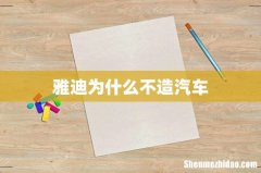 雅迪为什么不造汽车