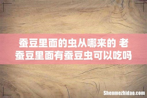 蚕豆里面的虫从哪来的 老蚕豆里面有蚕豆虫可以吃吗