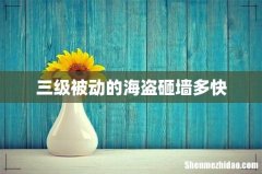 三级被动的海盗砸墙多快