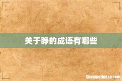 关于睁的成语有哪些