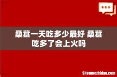 桑葚一天吃多少最好 桑葚吃多了会上火吗