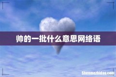 帅的一批什么意思网络语