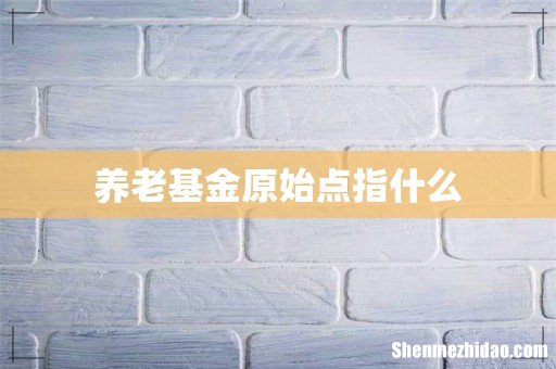 养老基金原始点指什么
