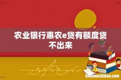 农业银行惠农e贷有额度贷不出来