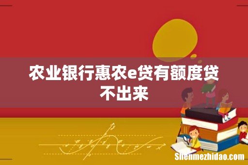 农业银行惠农e贷有额度贷不出来