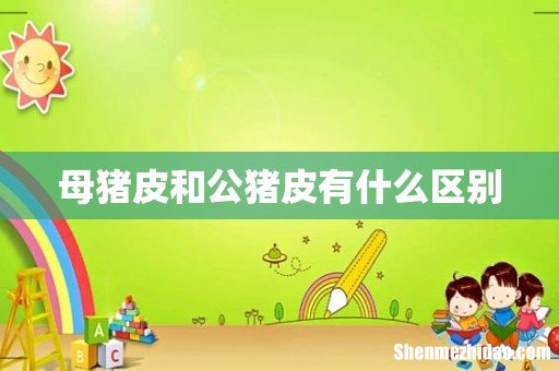 母猪皮和公猪皮有什么区别
