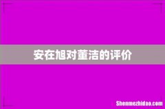 安在旭对董洁的评价