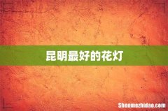 昆明最好的花灯