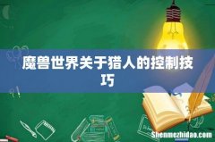 魔兽世界关于猎人的控制技巧