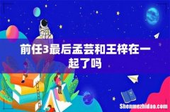前任3最后孟芸和王梓在一起了吗