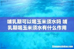 哺乳期可以喝玉米须水吗 哺乳期喝玉米须水有什么作用