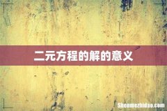 二元方程的解的意义