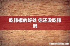 吃辣椒的好处 你还没吃辣吗