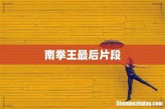 南拳王最后片段