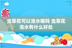 虫草花可以泡水喝吗 虫草花泡水有什么好处