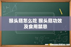 猴头菇怎么吃 猴头菇功效及食用禁忌
