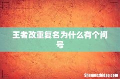 王者改重复名为什么有个问号