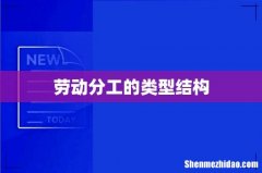 劳动分工的类型结构