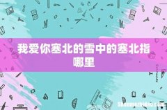 我爱你塞北的雪中的塞北指哪里