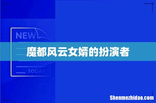 魔都风云女婿的扮演者