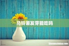 马铃薯发芽能吃吗