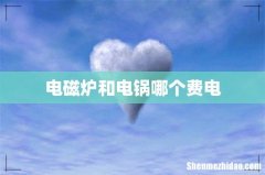 电磁炉和电锅哪个费电