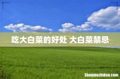 吃大白菜的好处 大白菜禁忌