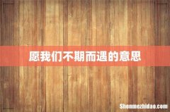 愿我们不期而遇的意思