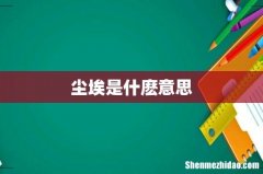 尘埃是什麽意思