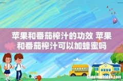 苹果和番茄榨汁的功效 苹果和番茄榨汁可以加蜂蜜吗