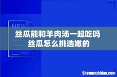 丝瓜能和羊肉汤一起吃吗 丝瓜怎么挑选嫩的