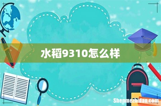 水稻9310怎么样