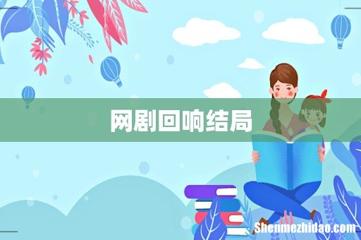 网剧回响结局