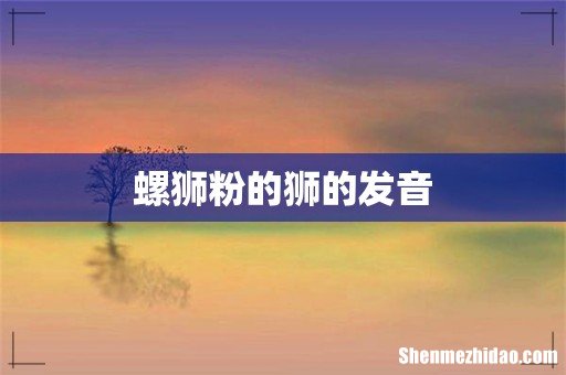 螺狮粉的狮的发音