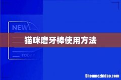 猫咪磨牙棒使用方法