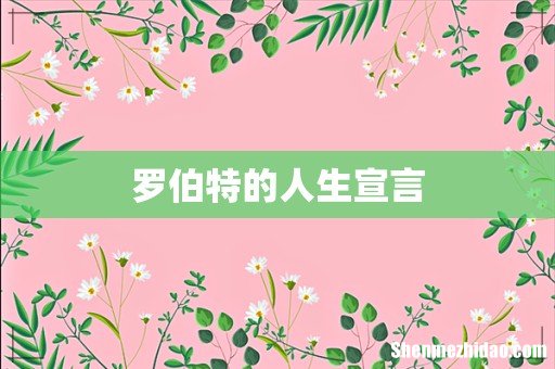 罗伯特的人生宣言