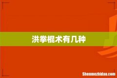 洪拳棍术有几种