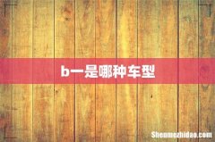 b一是哪种车型
