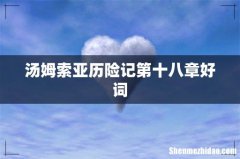 汤姆索亚历险记第十八章好词