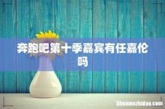 奔跑吧第十季嘉宾有任嘉伦吗