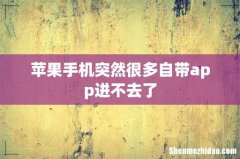 苹果手机突然很多自带app进不去了