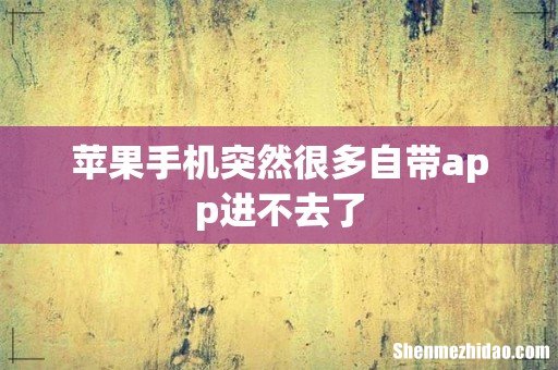 苹果手机突然很多自带app进不去了