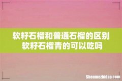 软籽石榴和普通石榴的区别 软籽石榴青的可以吃吗