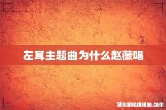 左耳主题曲为什么赵薇唱