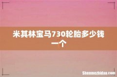 米其林宝马730轮胎多少钱一个